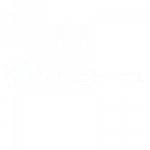 websiteness seo & web design company